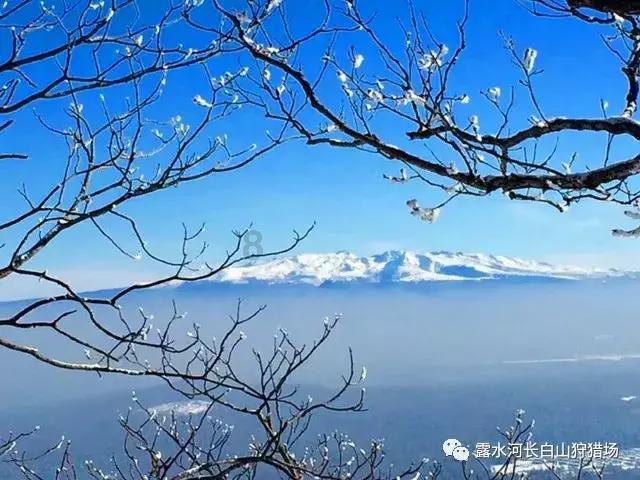 解惑蜗牛-都说跑步减肥,为什么慢跑几个月都瘦不下来?问答平台